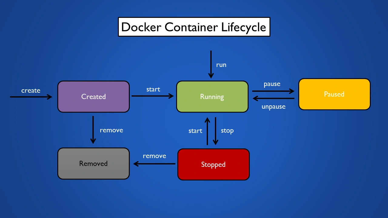 Docker Container Lifecycle
