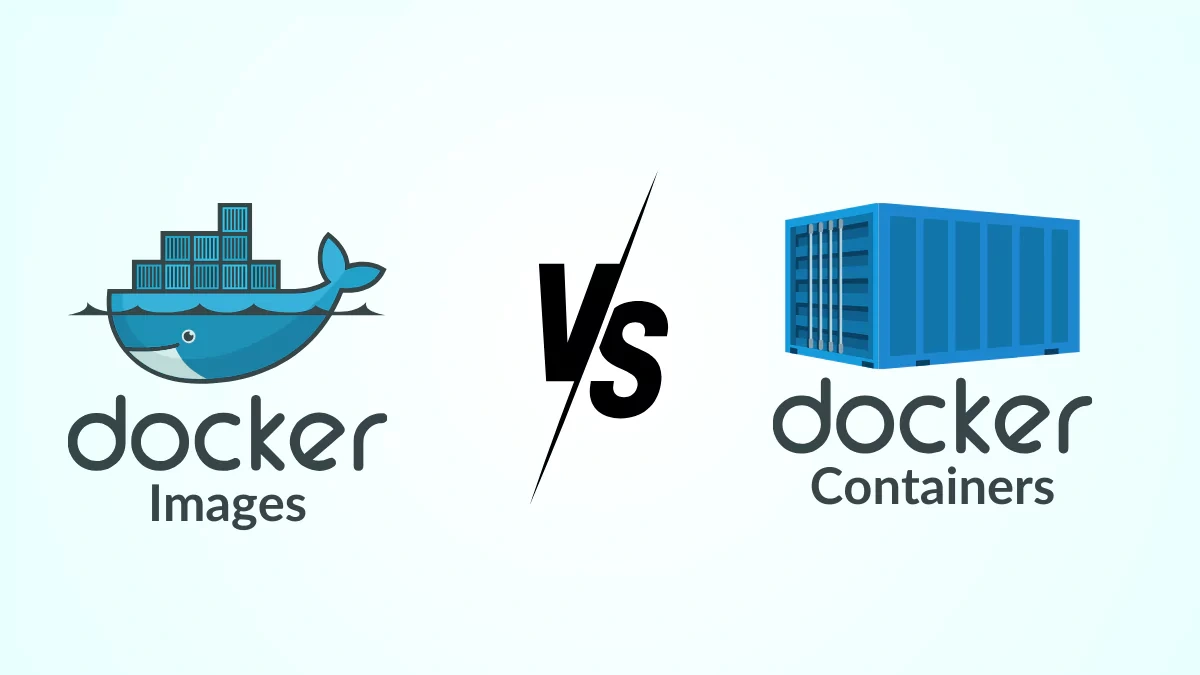 [Docker Basics] Image and Container: Concepts, Differences, and Usage