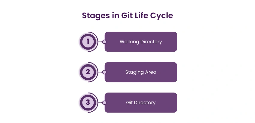 Understanding the File Life Cycle in Git: 3 States You Need to Know