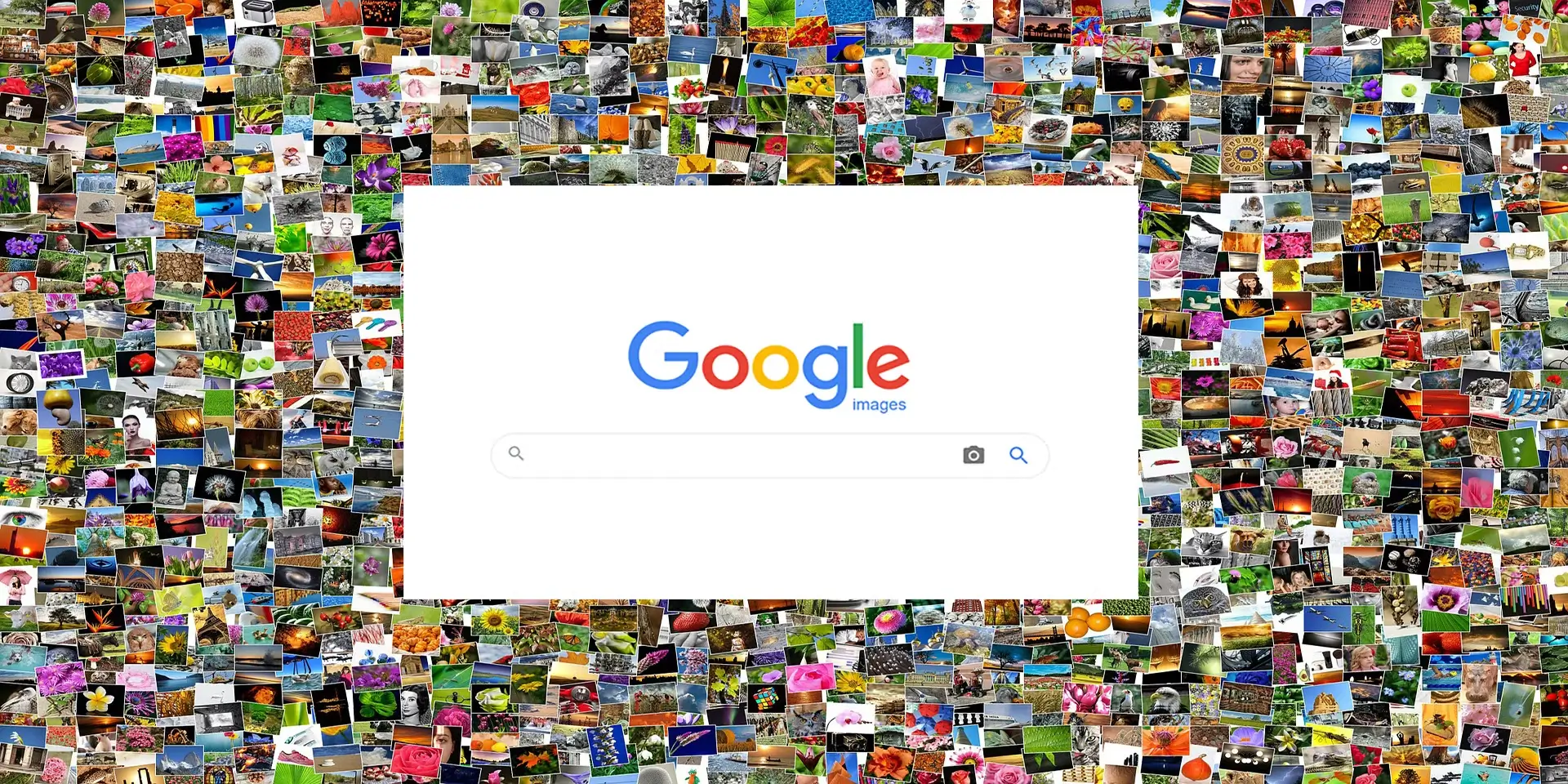 Google Image Search