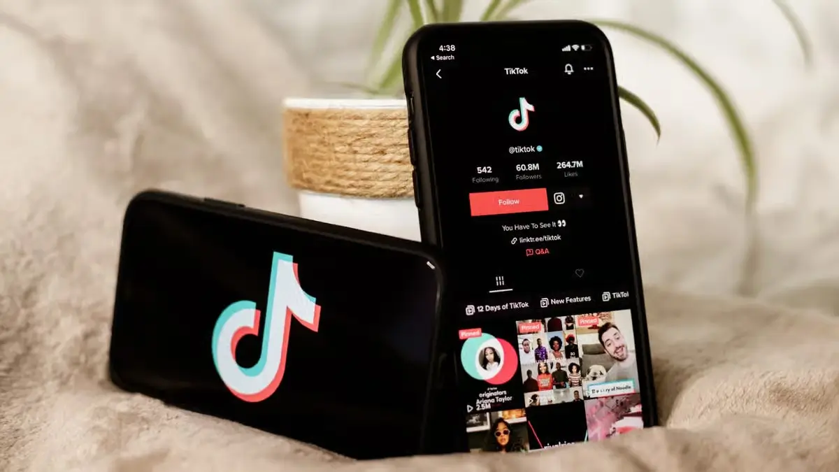 Optimize profile for TikTok channel